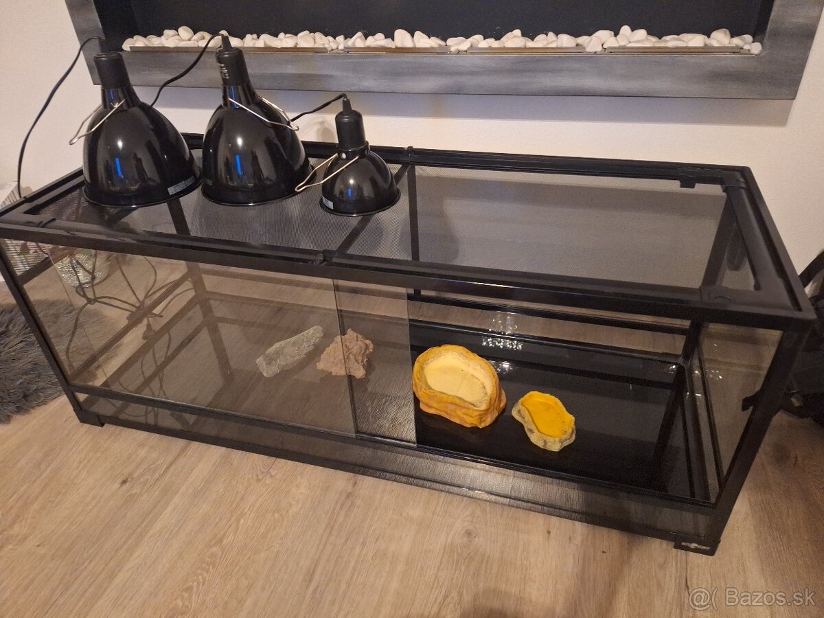 Terarium
