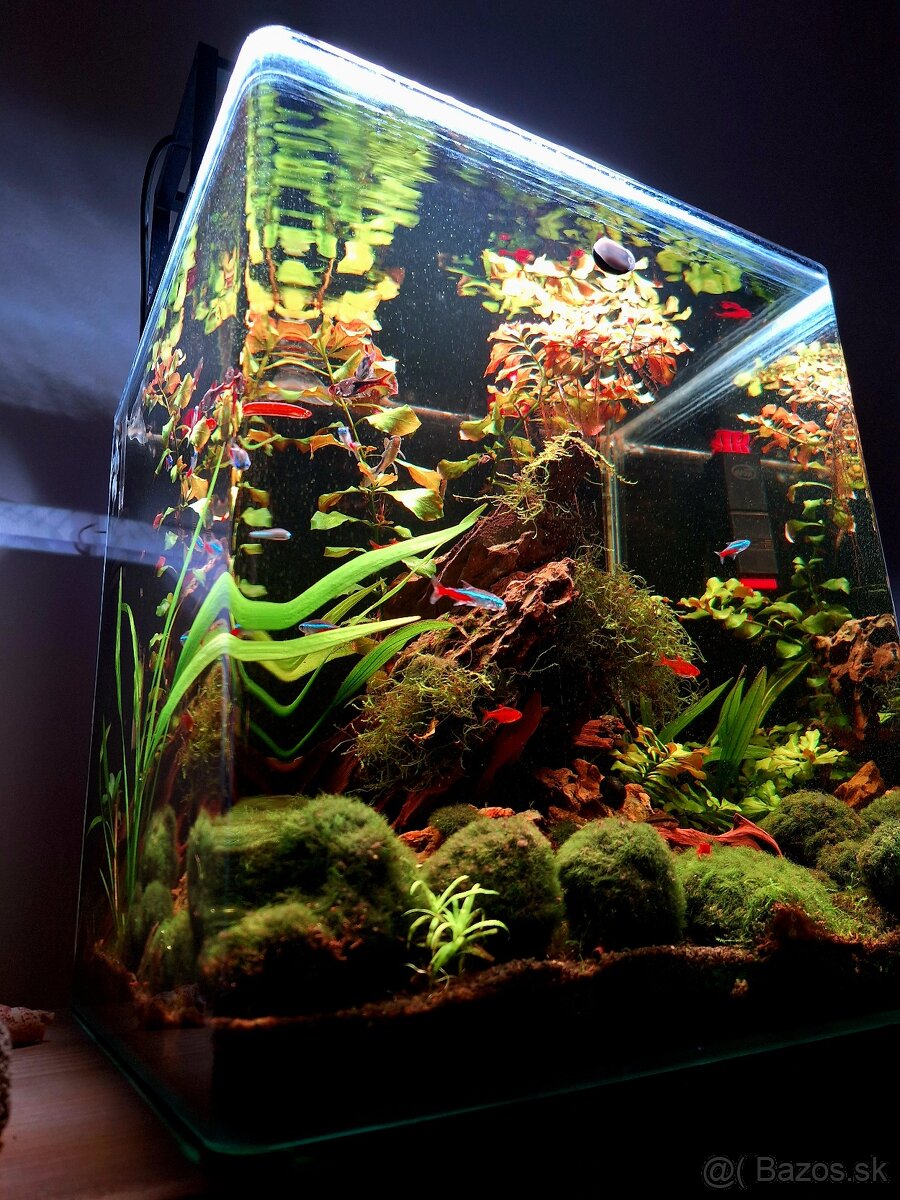 Akvárium NanoCube Dennerle 60l