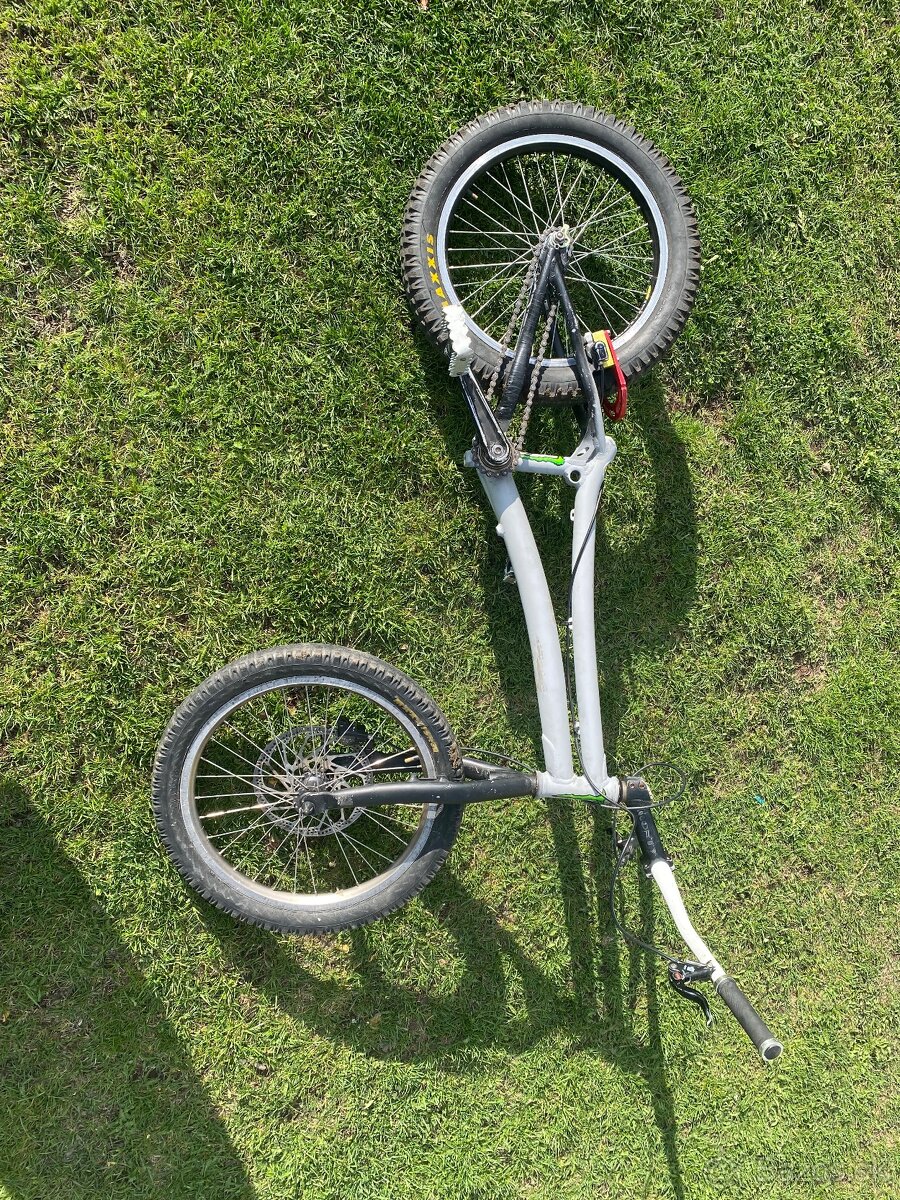 trial bike monty