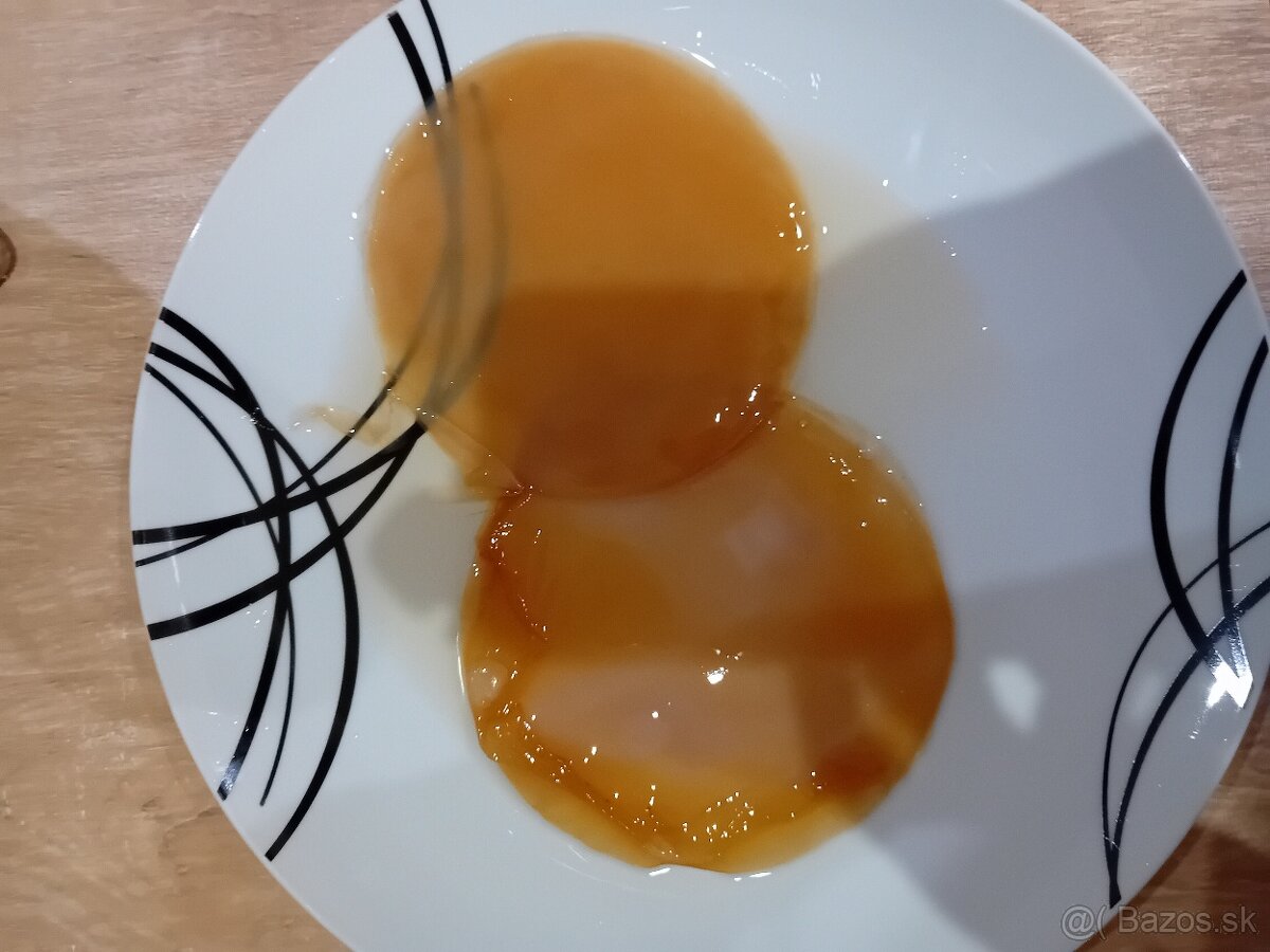 Domáca kombucha