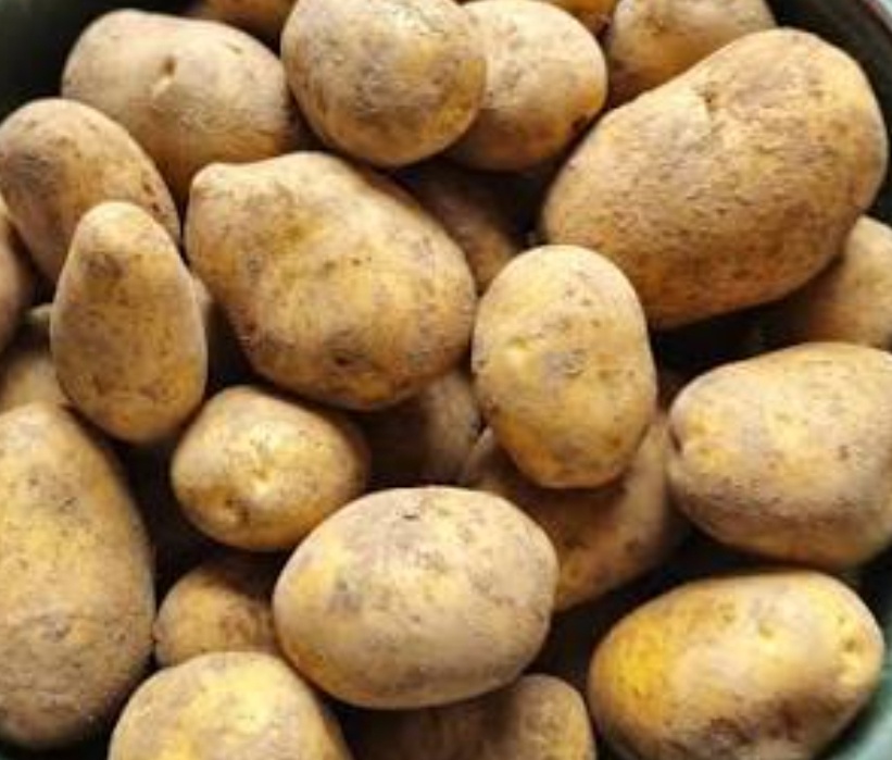 Sadienka- domáce zemiaky