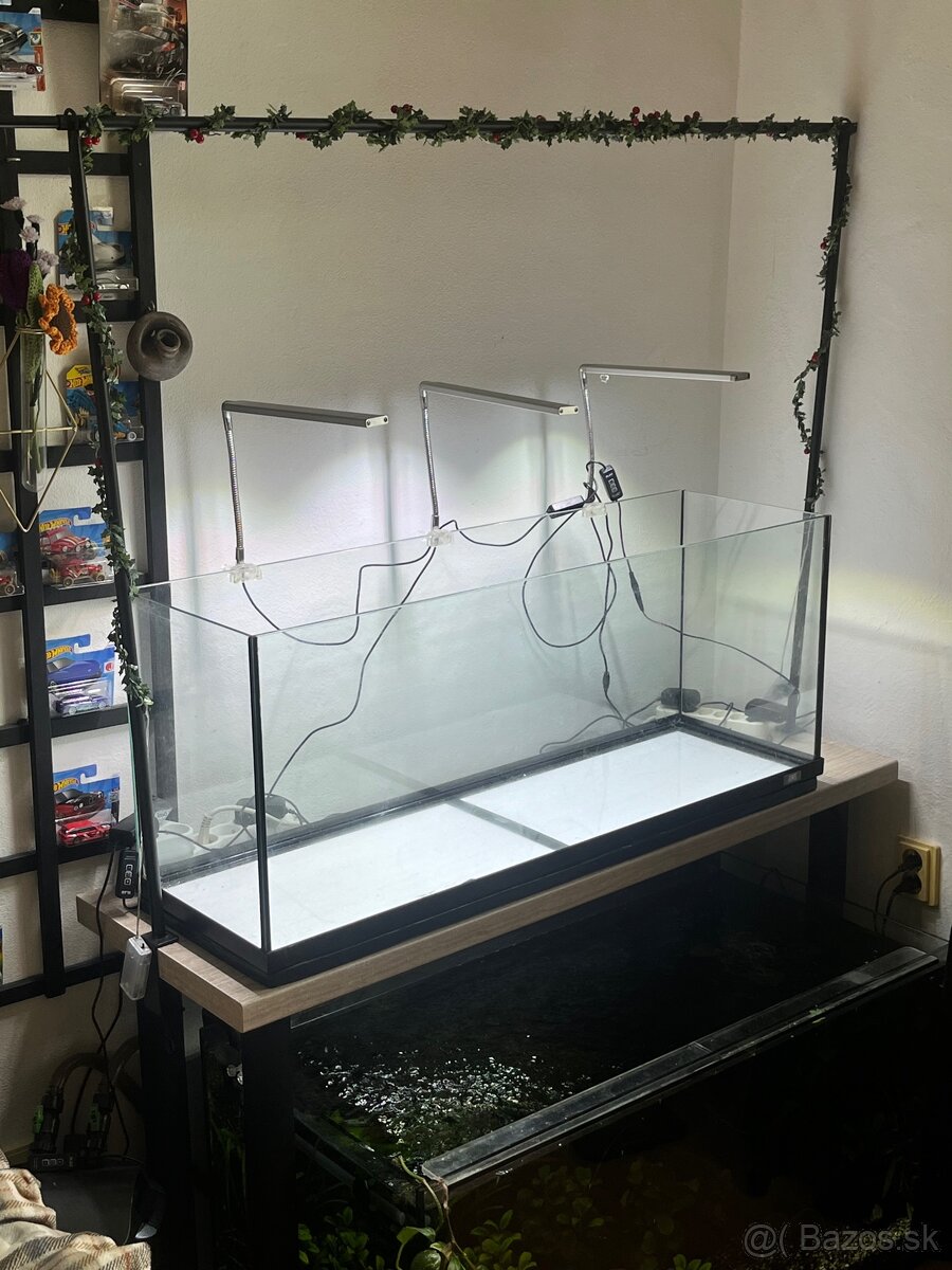 Akvarium