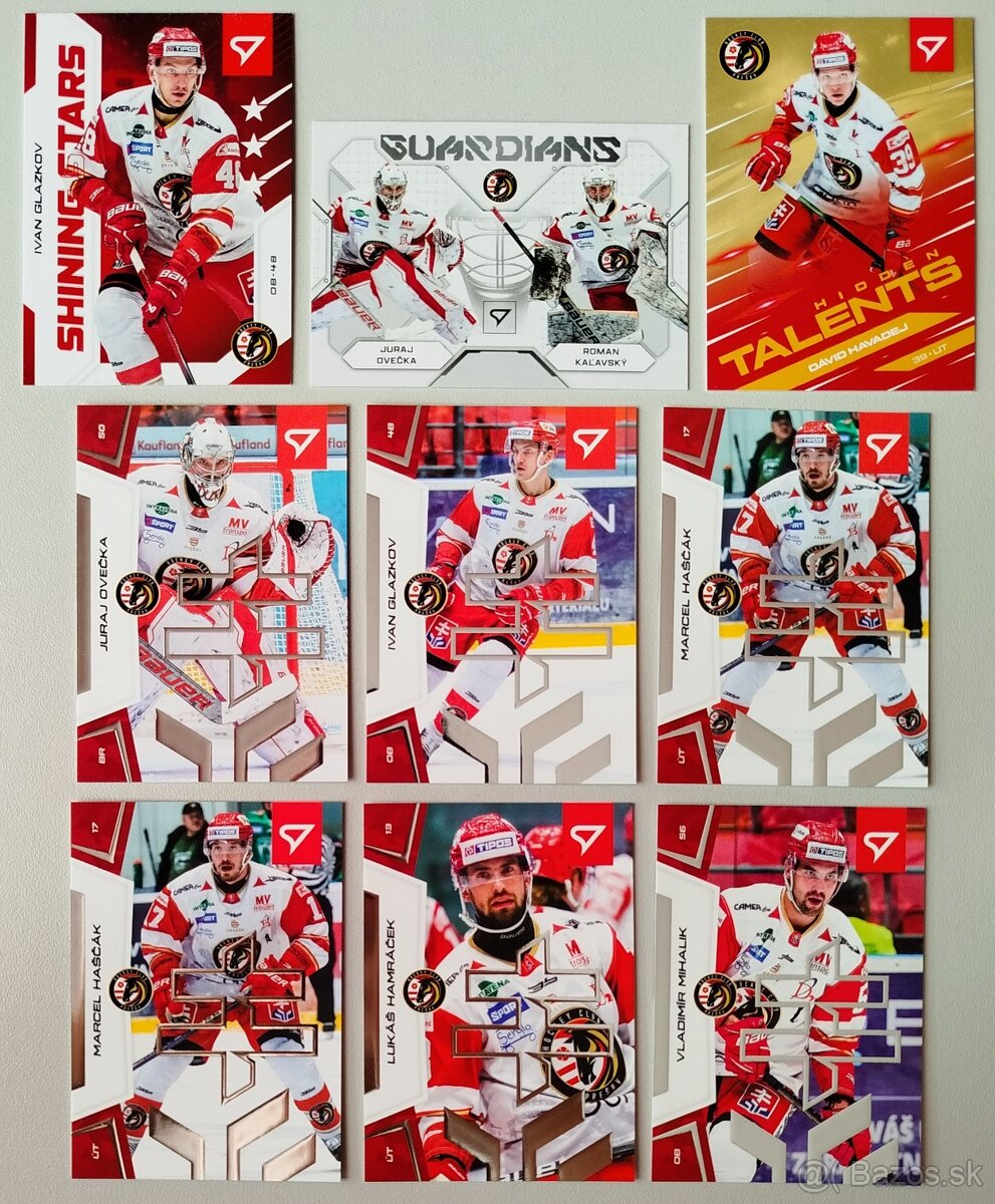 Hokejové kartičky SLOVENSKÁ HOKEJOVÁ LIGA 24/25 - HC PREŠOV