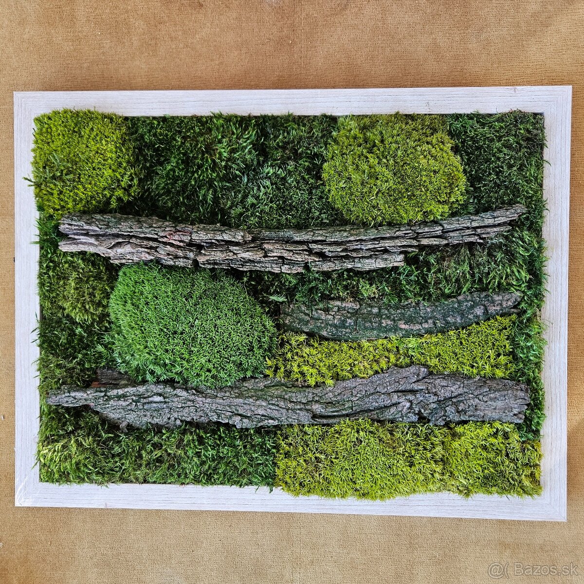 Machové obrazy 40x30
