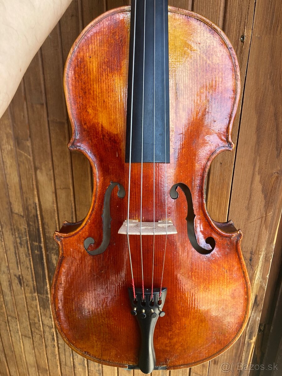 Viola 39