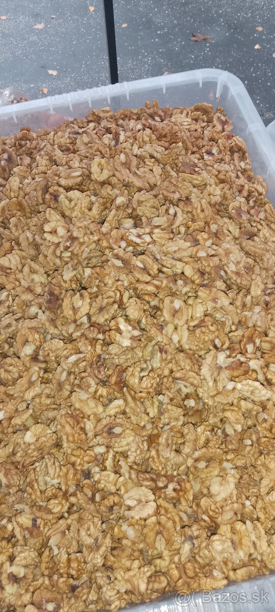 Predam tohtorocne vlasske lupane orechy polovice.