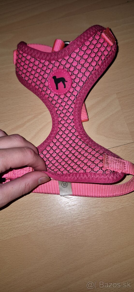 Vecičky pre jazvečíka