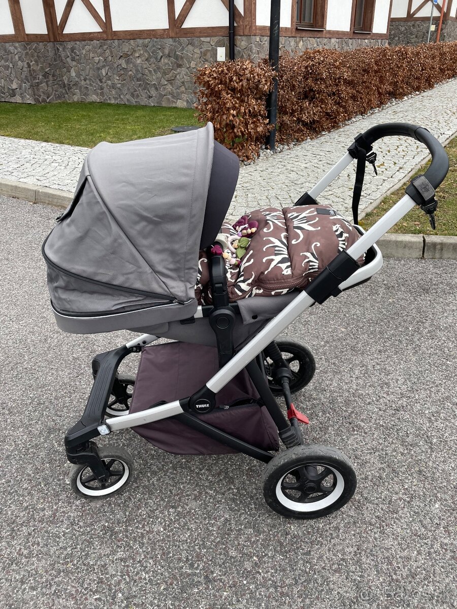 Thule sleek