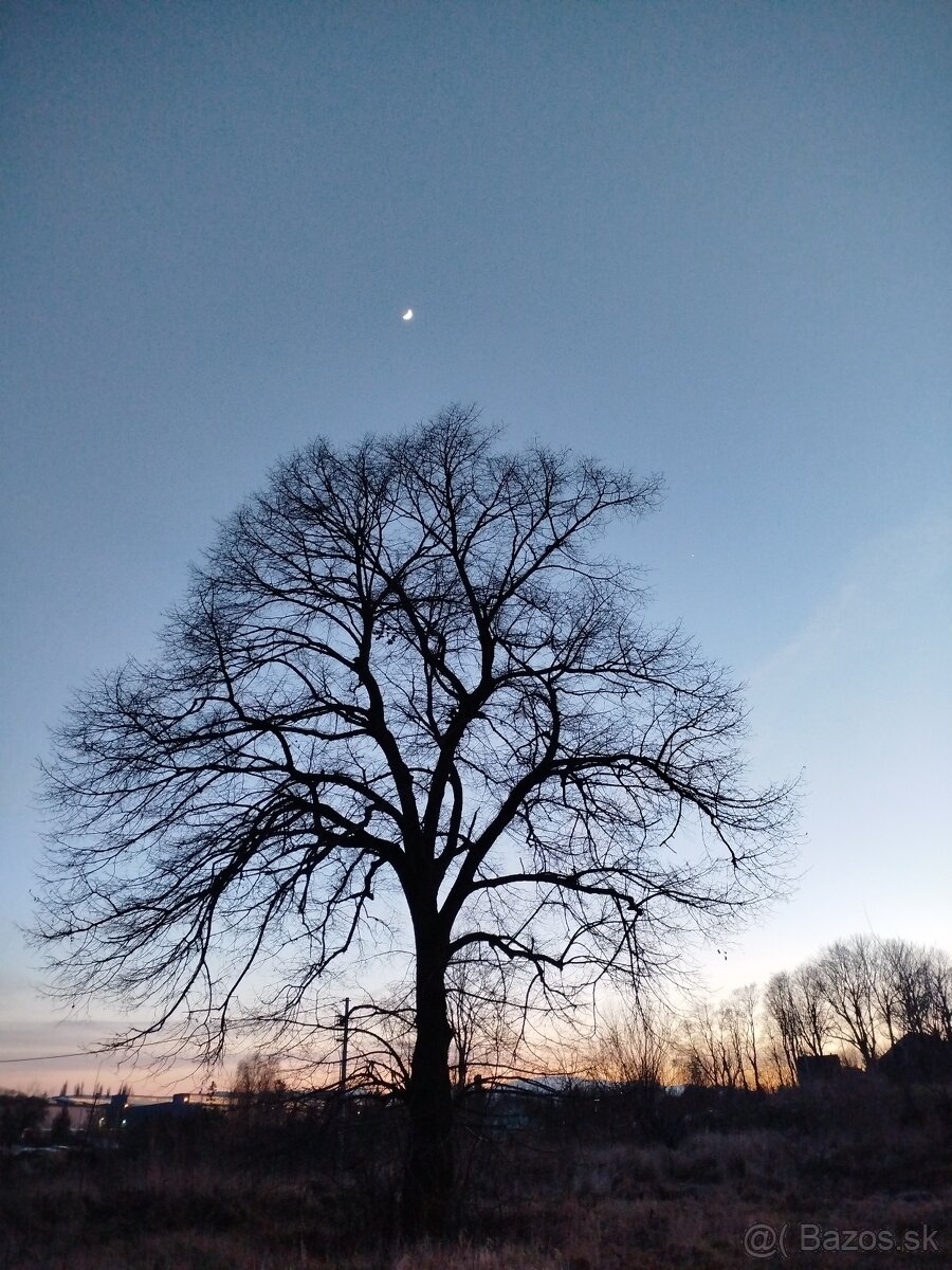 Hľadáme basgitaristu/ku