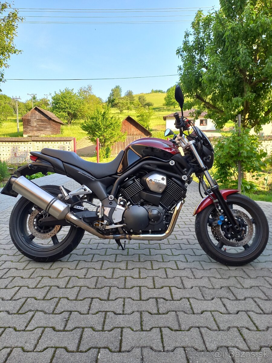 Yamaha bulldog 1100