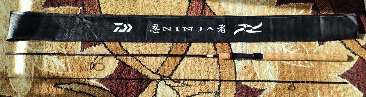 Daiwa Ninja X Spin 2,10 m (5–20 g)