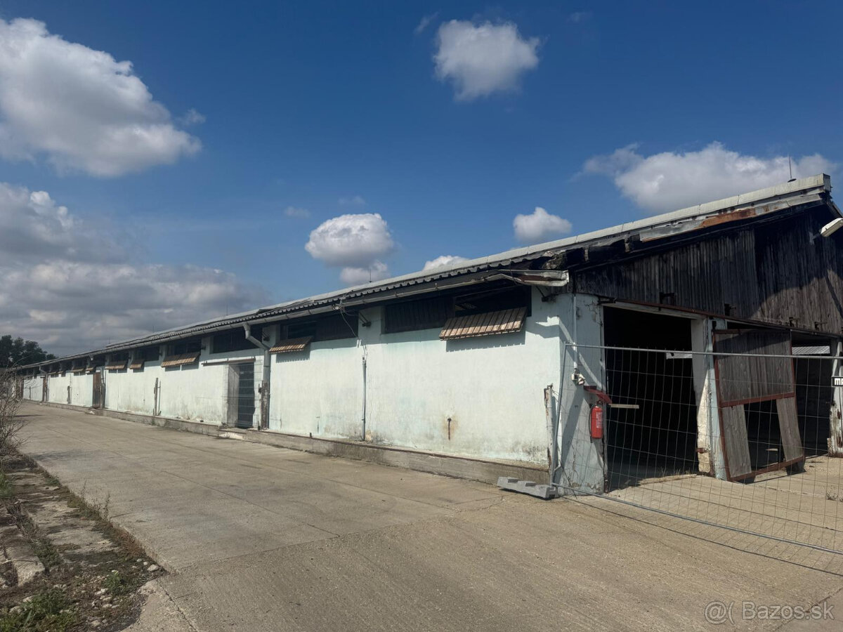 PREDÁM pozemok s Halou Trnava Velký dvor