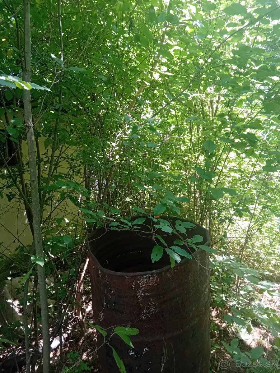 Kosenie a čistenie pozemkov