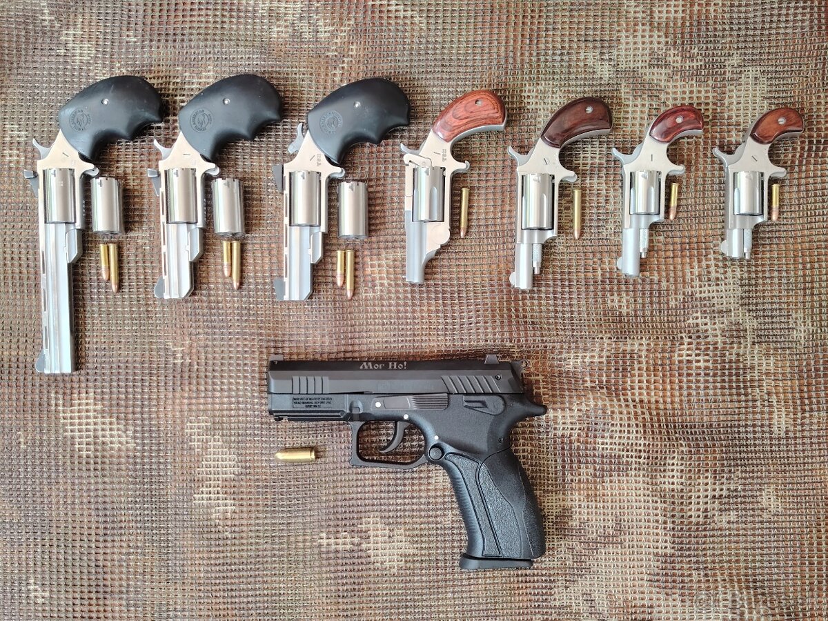 NAA revolvery (.22LR a .22WMR)