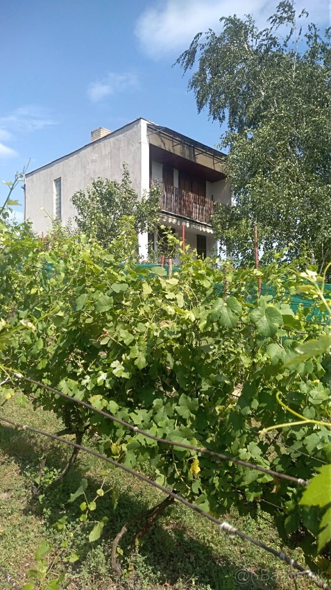 Predaj, chata, chalupa, vínny dom, Marcelová