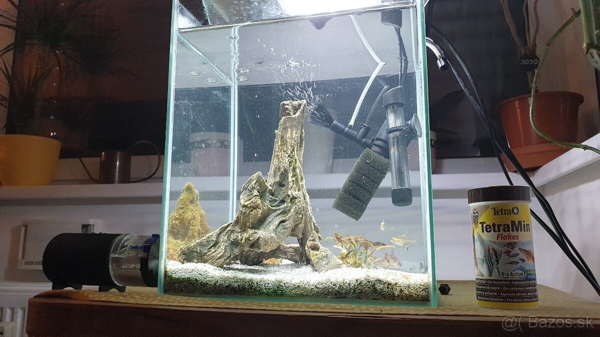 Predam komplet 30L akvarium