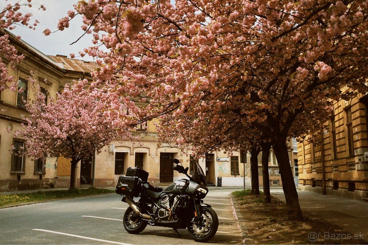 Predam nadhernu harley davidson panamerica 1250