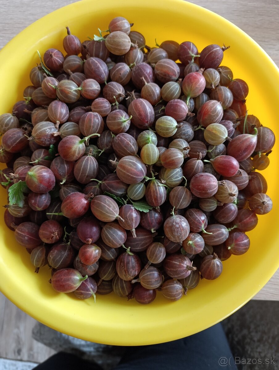 Egreše