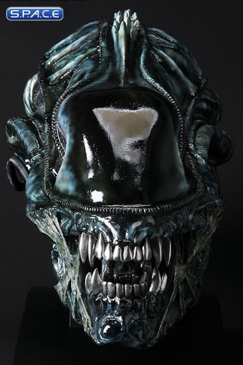 Alien head sideshow