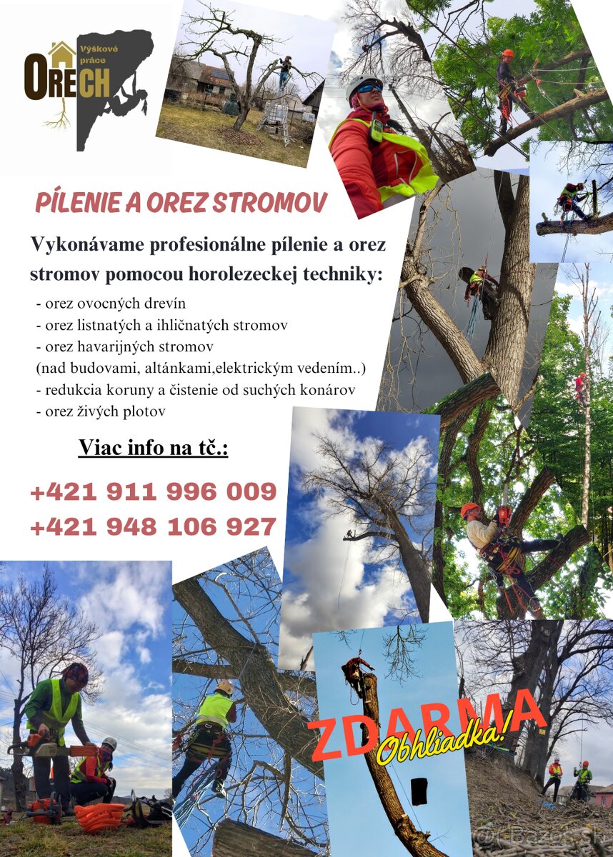 Pílenie (výrub a orez stromov), živých plotov