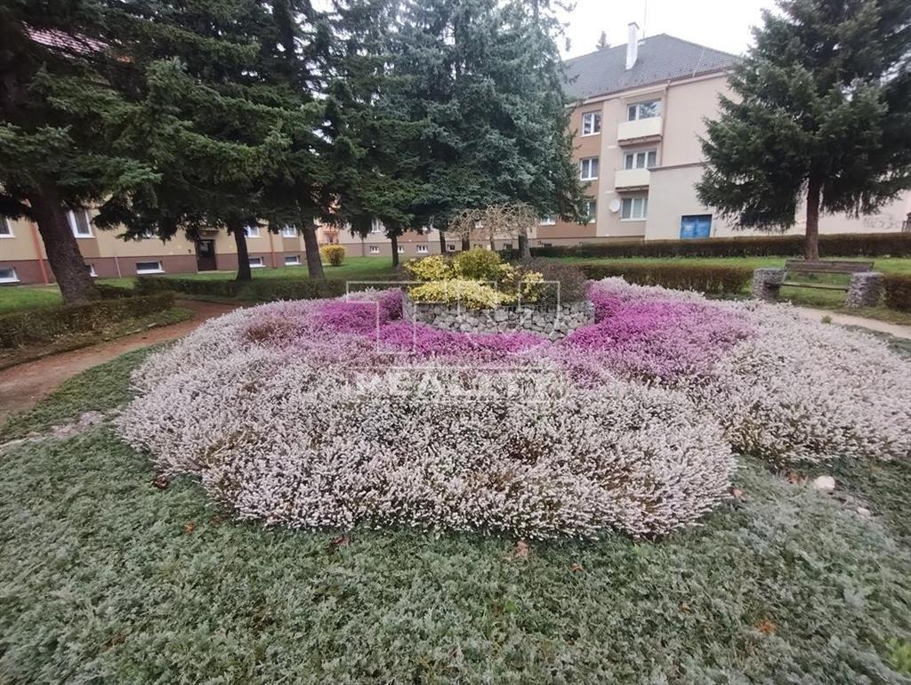 2 izbový byt na Starej Turej