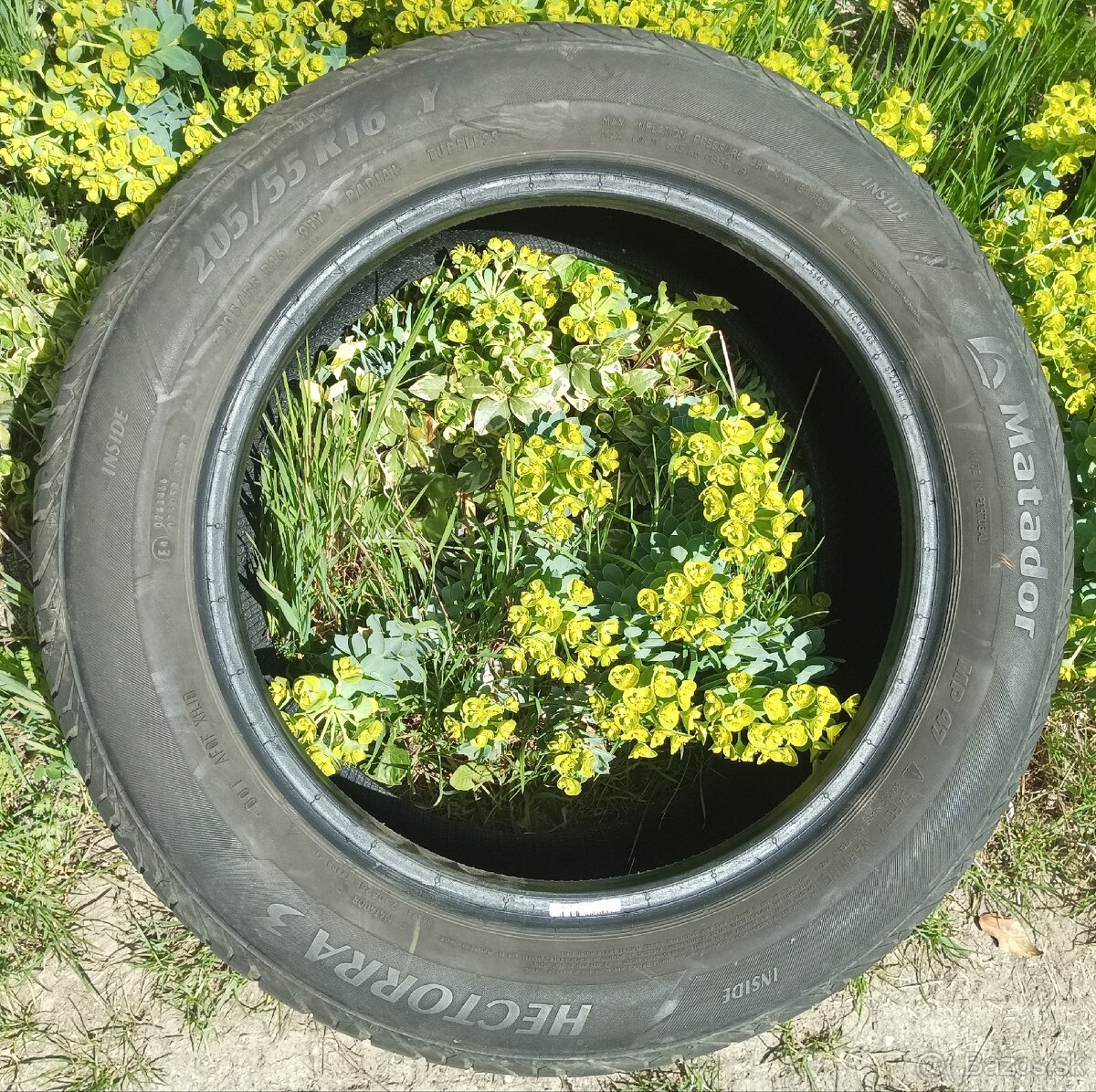 Pneumatika 205 55 R16