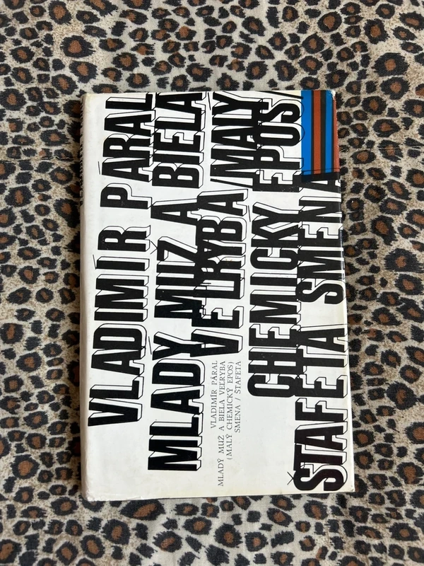 Mladý muž a biela veľryba - Vladimír Páral r.1977