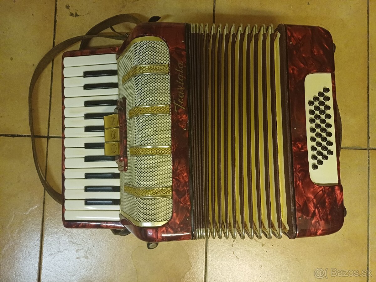 Akkordeon Traviata