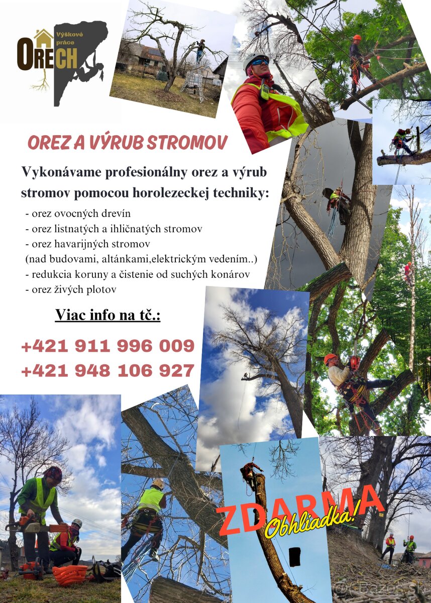 Pílenie (orez a výrub stromov), živých plotov