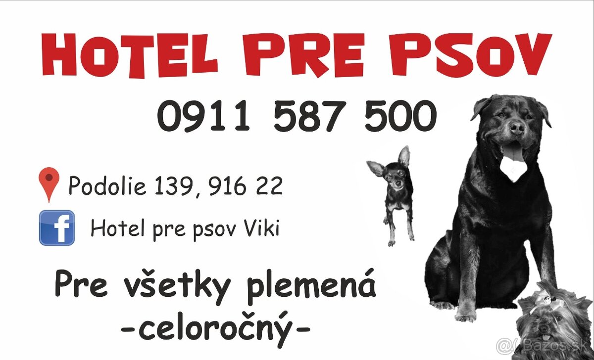 Hotel pre Psov - Hotel for Dogs - výcvik psov