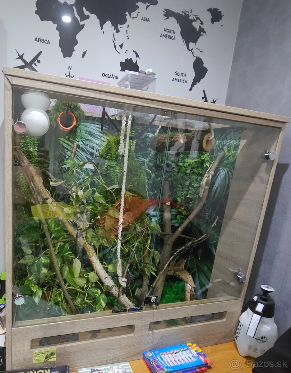 Terarium