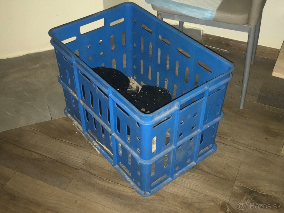 Predám za 4€ veľkú Prepravku -