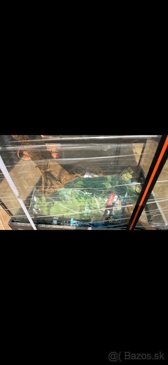 Terarium
