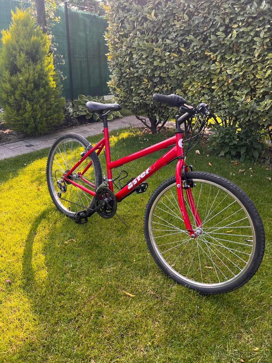 Bicykel Ister