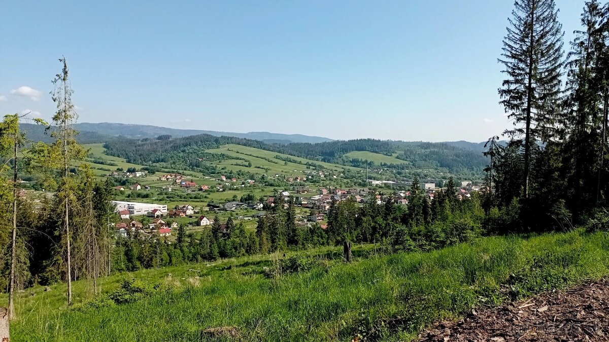 Raková – Spoluvlastnícke podiely na lesoch a lúkach