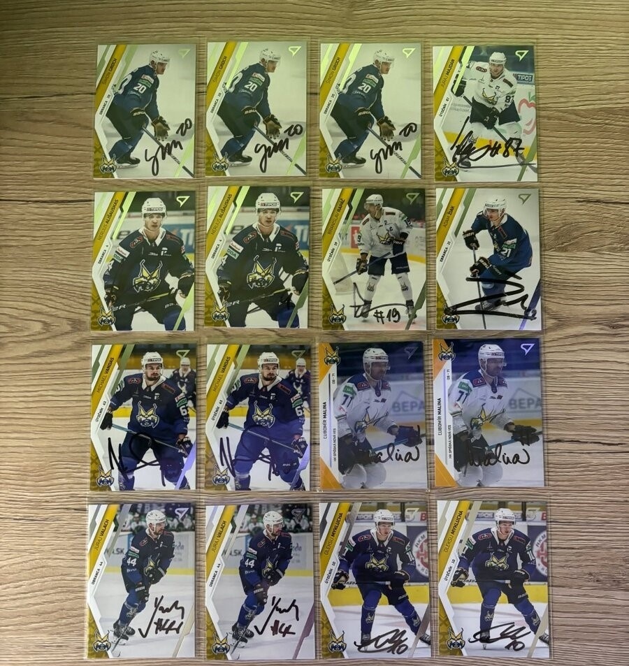 Podpísané hokejové kartičky hokejistov Spišská Nová Ves