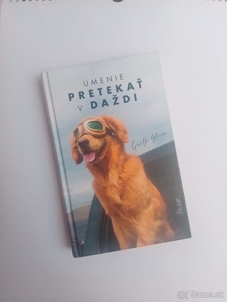 Umenie pretekať v daždi - Garth Stein