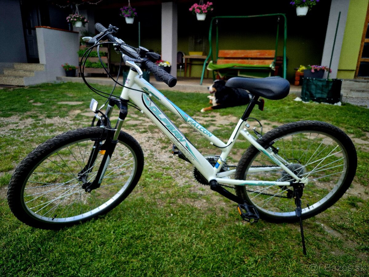 Horský bicykel