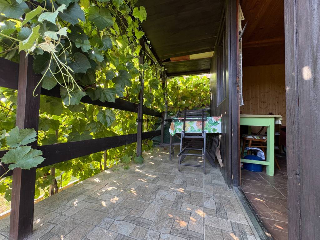 Na predaj: Ovocná záhrada v Leviciach