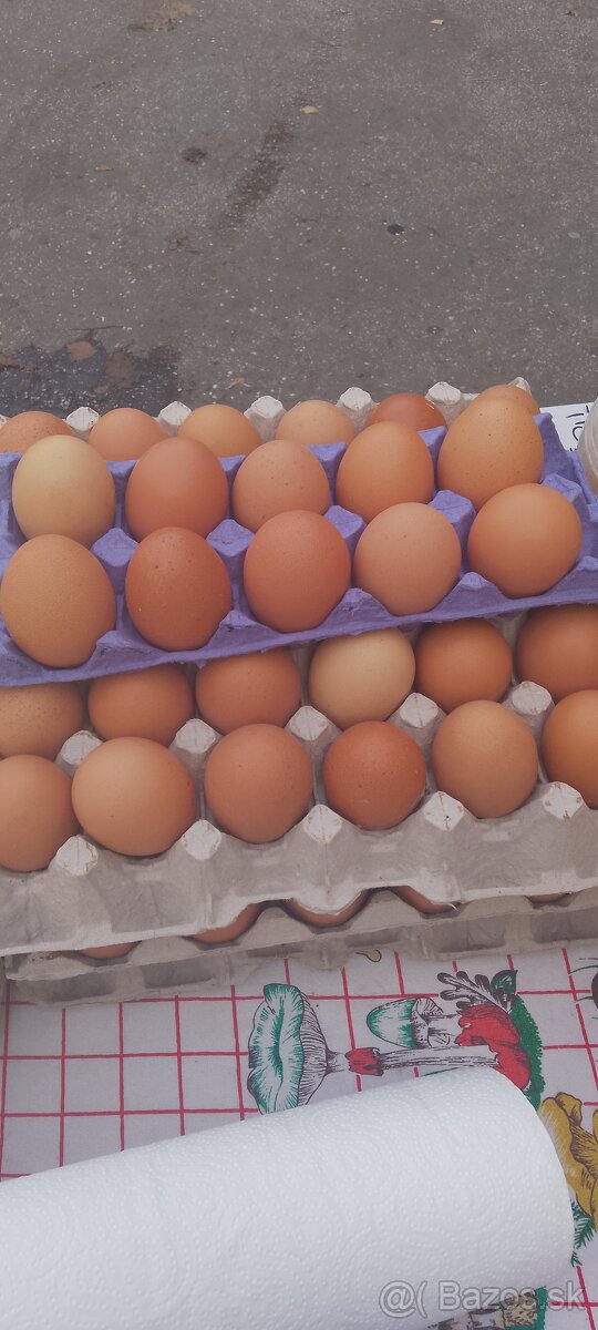 Krásne domáce vajíčka Xl oranžové pekne zltka ]