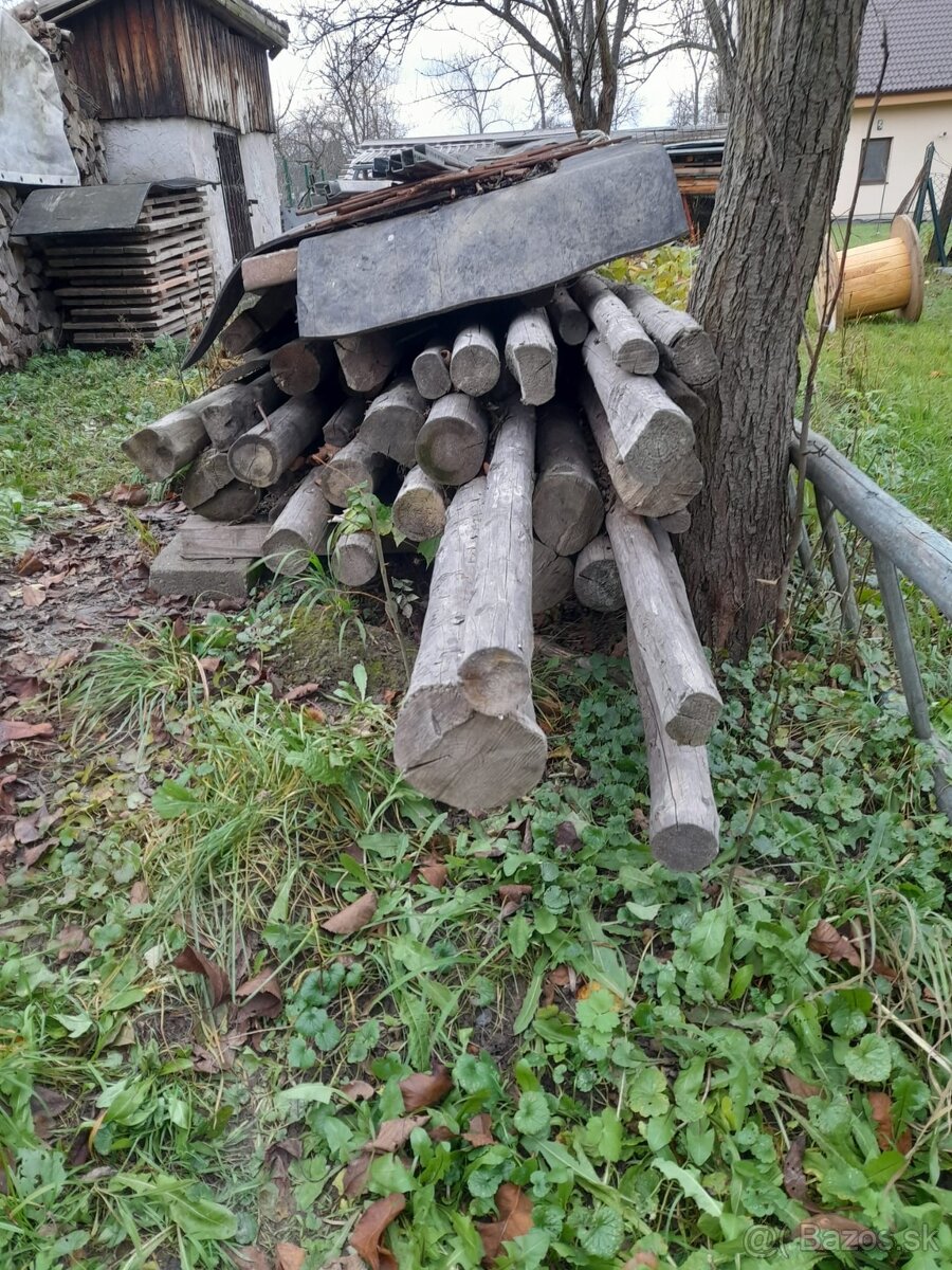 Staré drevo - guľatina