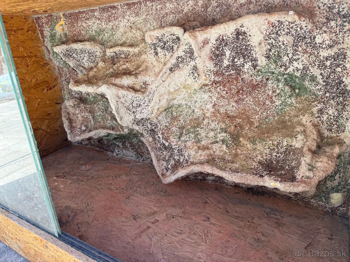 Terarium