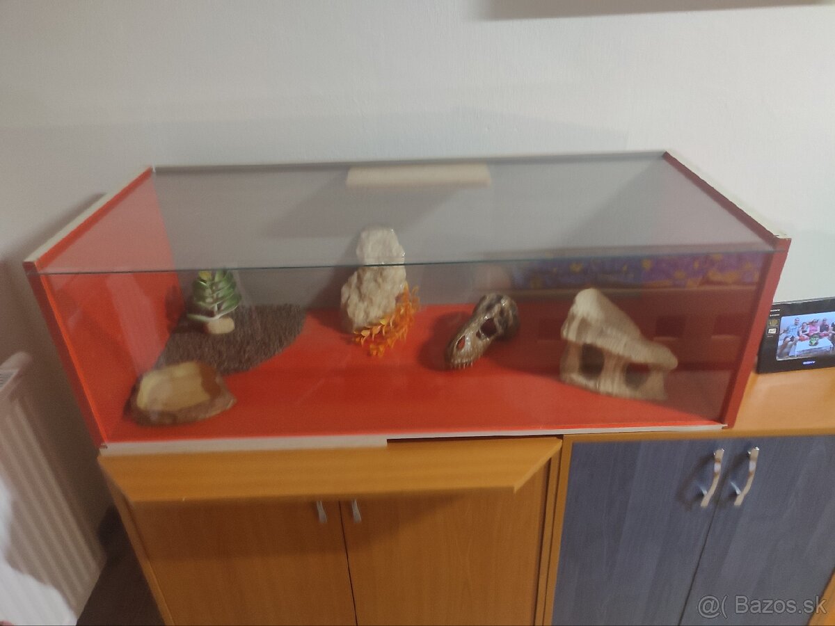Terarium pre hada