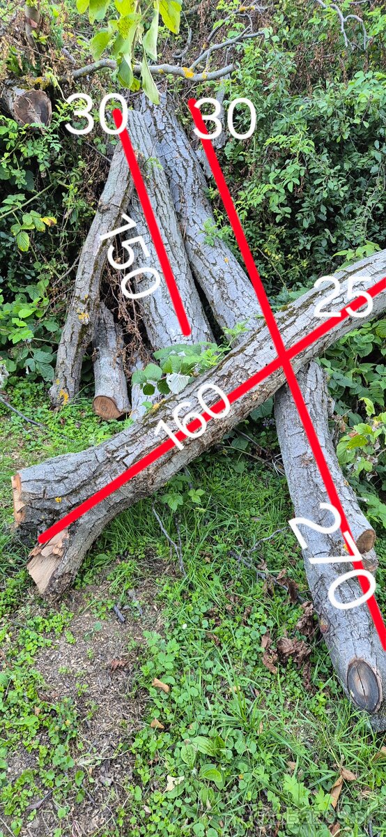 Orechové drevo