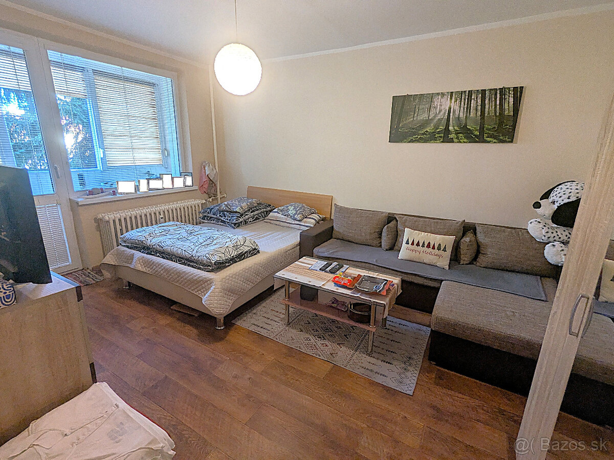 BEZBARIÉROVÝ 1 i. blízko CENTRA, Ludmanská, OV, 41m2