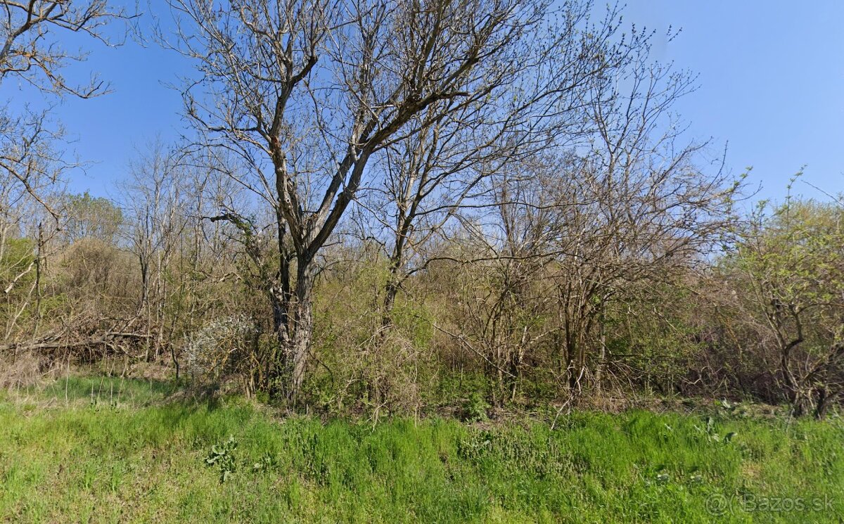 Na predaj pozemok Malý Kiar - v blízkosti kúpaliska Margita