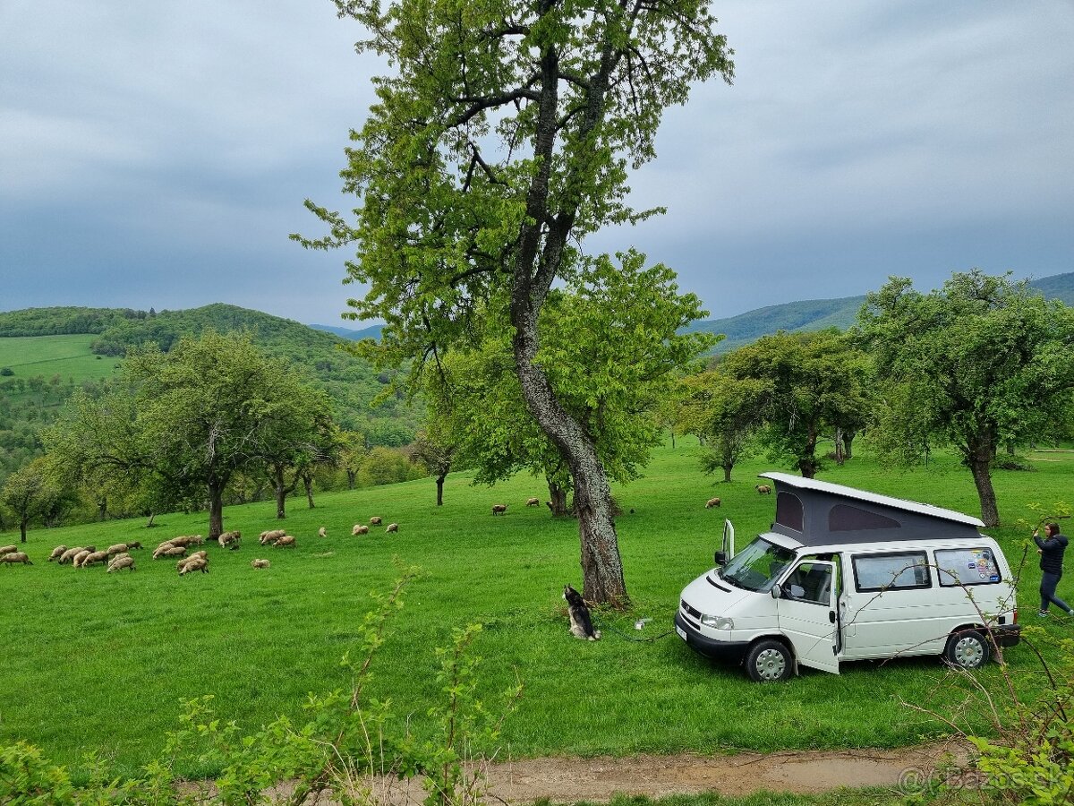Volkswagen T4 California