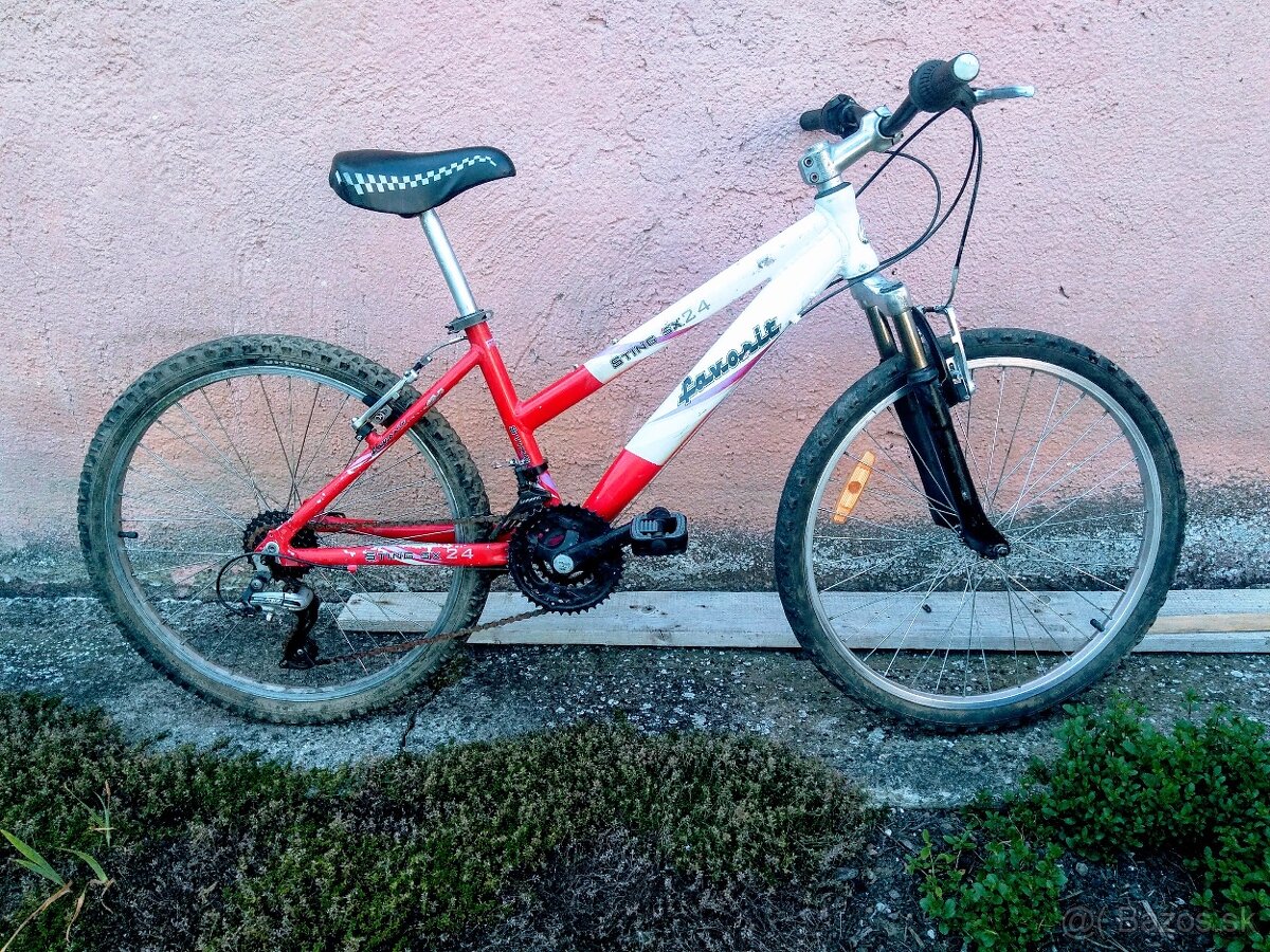 Juniorský bicykel -dural rám 24