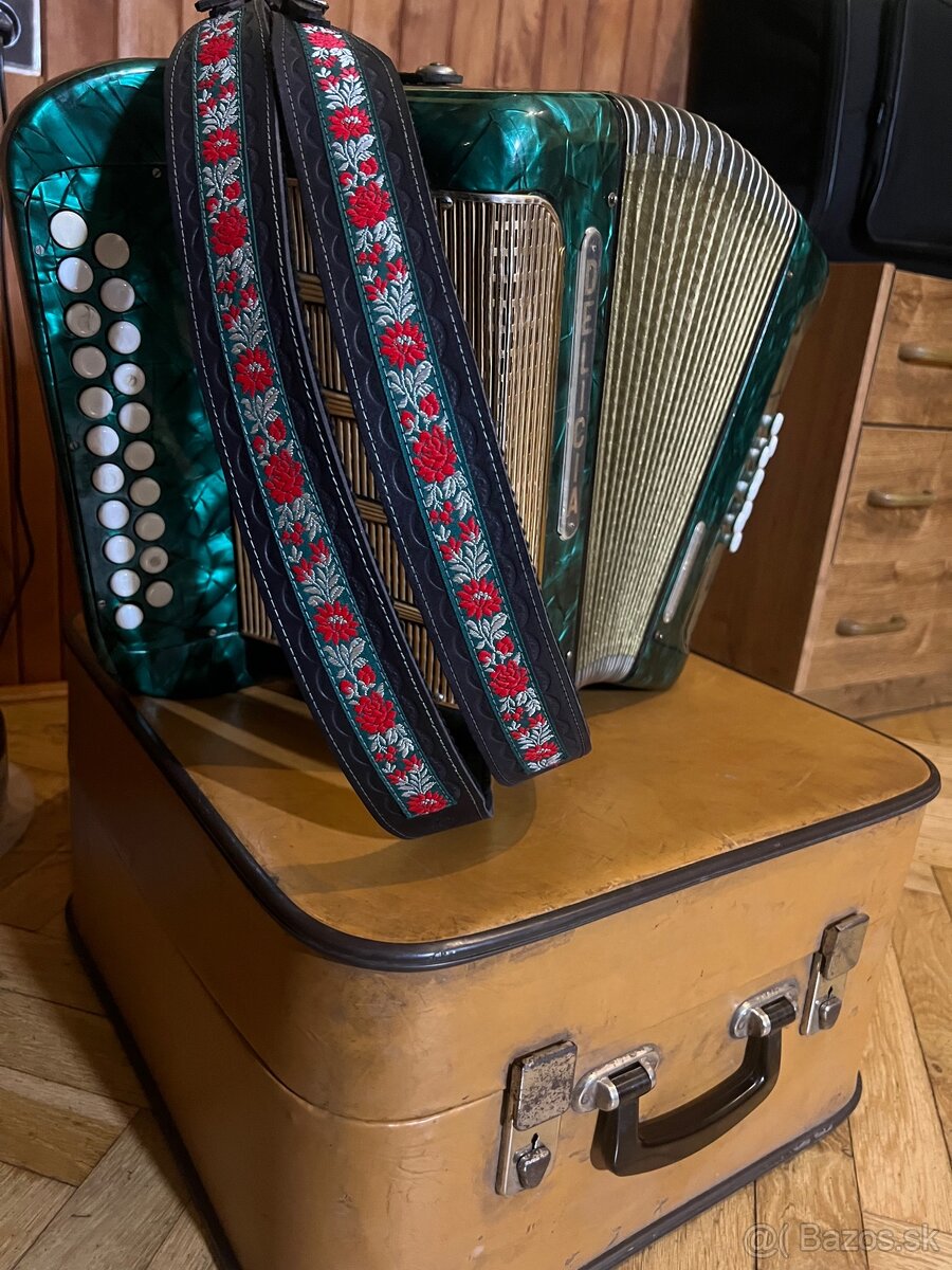 Heligonka delicia C-F