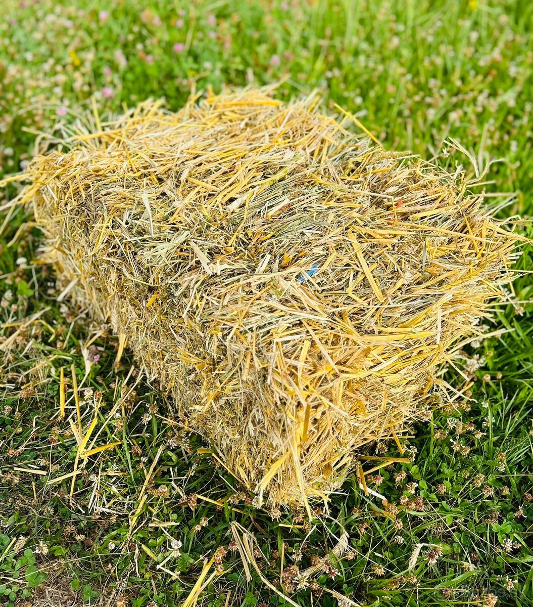 Slama pšeničná - malé balíky